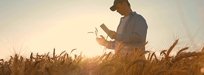 Agricultor cereal.jpg