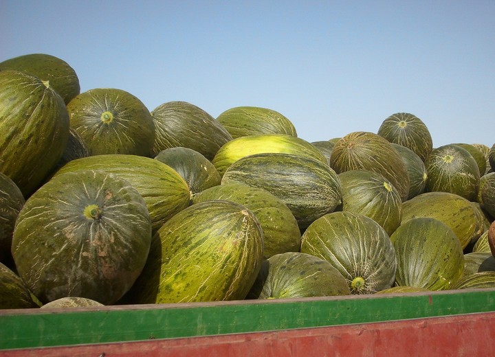 melones.jpg