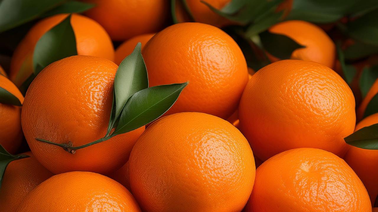 naranjas (1).jpg