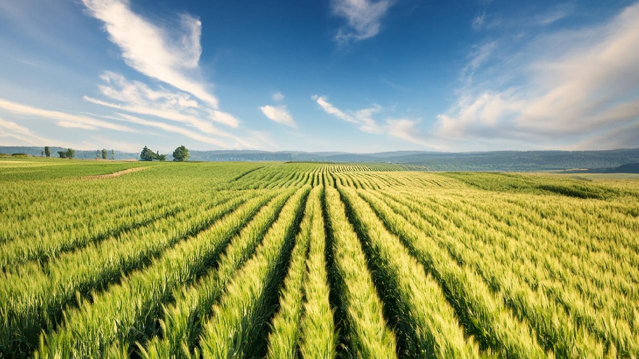 politica-agroalimentaria.jpg